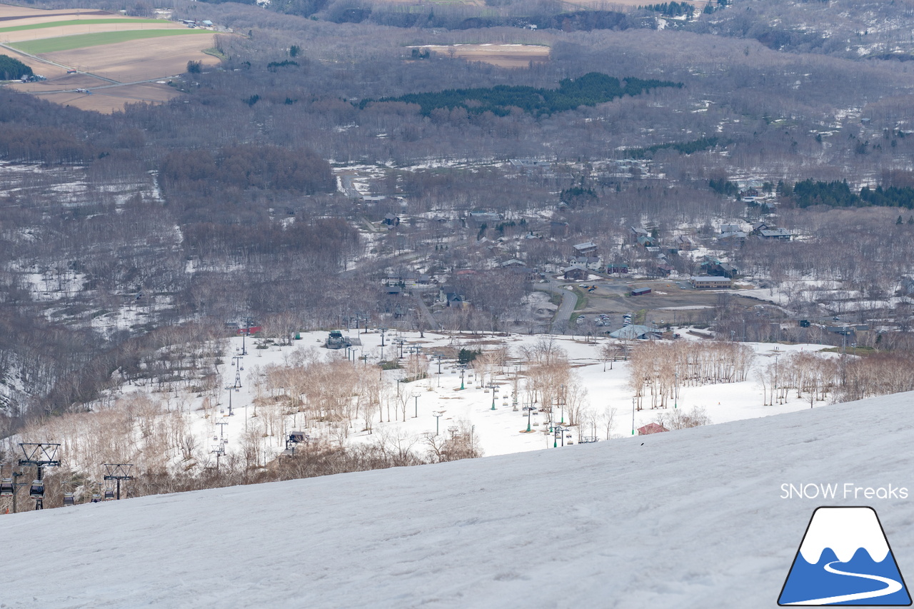 ニセコアンヌプリ国際スキー場｜さすがニセコ！山頂から山麓まで全長約4,000ｍのロング滑走可能です(^^)/